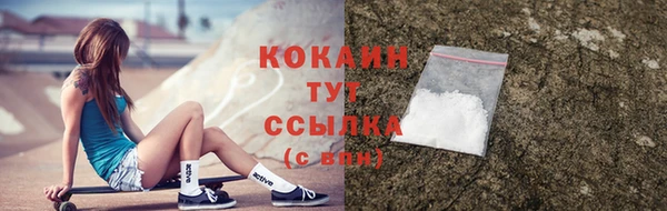 крисы Армянск